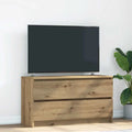 Szafka RTV, Artisan, 100 x 35 x 54 cm, 2 szuflady, materiał drewnopochodny, do salonu i do sypialni